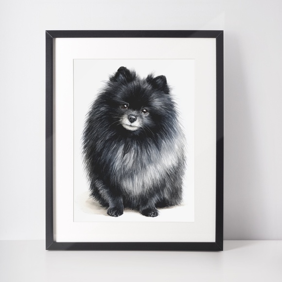 Watercolor Black Pomeranian Dog Portrait Art Print – Unframed Fine Art Poster - Picture 3 of 5